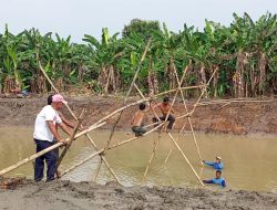 Kades Sukadaya Bersama Petani Gotong Royong Bangun Jembatan Sementara