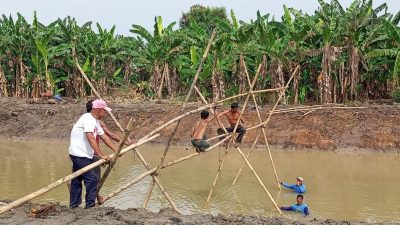 Kades Sukadaya Bersama Petani Gotong Royong Bangun Jembatan Sementara