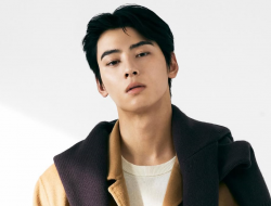 Angka Denda Pajak Cha Eun Woo Capai Rp249 Miliar, Kini Resmi Ajukan Banding!