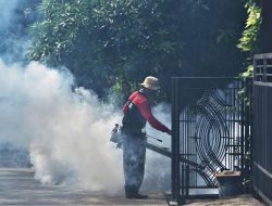 Waspada DBD! 1.095 Kasus di Kota Bekasi, Lima Warga Meninggal