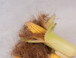 Sering Diabaikan, Ini 6 Manfaat Rambut Jagung untuk Kesehatan Tubuh