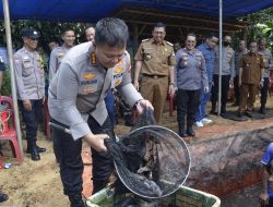 Polres Metro Bekasi Kota Panen 1.500 Ekor Lele