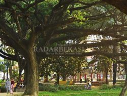 Kelurahan Harapan Baru Gencarkan Pembersihan Danau Duta Harapan