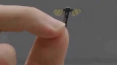Drone Sekecil Nyamuk Tiongkok Kembangkan Mata-Mata Udara