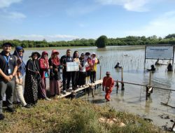 Telkom Tanam 10 Ribu Mangrove di Muaragembong Bekasi