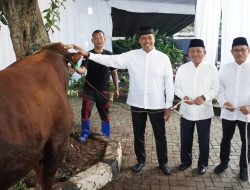 Pendistribusian Hewan Kurban BSI Capai 15.272 Ekor di Iduladha 1446 Hijriah      