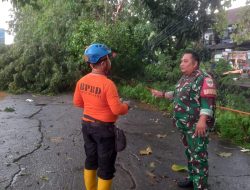 Hujan Deras dan Angin Kencang Tumbangkan Empat Pohon di Rawalumbu   