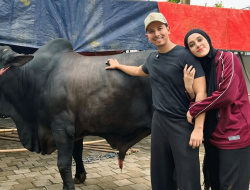 Sonny Septian Dapat Hadiah Sapi Kurban Jumbo dari Raffi Ahmad, Diberi Nama Kahfi
