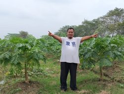 Agribisnis, Cara Bram Isi Waktu Luang di Sela Kesibukan Berpolitik