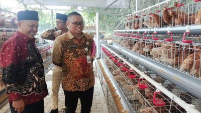 Desa Serang Cikarang Selatan Bantu Warga Jalankan Budidaya Ayam Petelur