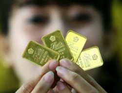 Harga Emas Pegadaian Senin 13 Juli 2026, Antam, UBS, dan Galeri24 Kompak Stagnan
