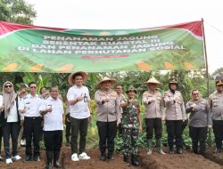 Pondokmelati jadi Lokasi Penanaman Jagung Serentak