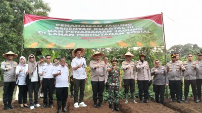 Pondokmelati jadi Lokasi Penanaman Jagung Serentak