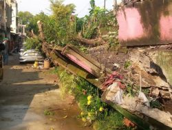 Tembok Roboh Tertimpa Pohon, Mobil Warga Rawalumbu Ringsek