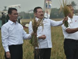 Sawah Sitaan Milik Koruptor di Tambun Utara Panen 49 Ton Padi