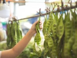 Harga Petai dan Jengkol Tembus Rp300 Ribu per Kg, Harga Daging Sapi Kalah