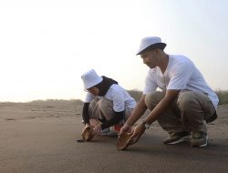 Penyu-lamat 2025: Aksi Sukarelawan Karyawan Telkom Edukasi Sampah dan Konservasi Penyu di Pantai Pelangi Yogyakarta
