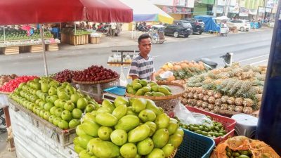 Manfaatkan KUR BRI, Pedagang Nanas Ini Sukses Kembangkan Produk Olahan yang Diminati Pasar 