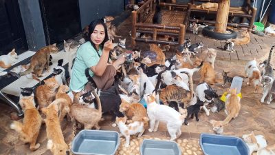 RSKJ Bekasi Selamatkan Puluhan Kucing Korban Kerusuhan di Jakarta