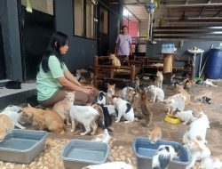 Pemilik RSKJ Desak Pemkot Bekasi Bangun Pusat Kesehatan Hewan