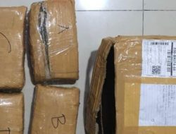 Polisi Gagalkan Peredaran 4,1 Kg Ganja di Bekasi Utara, Satu Pria Ditangkap