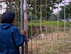 Polisi Ungkap Motif di Balik Penikaman Office Boy di Cikarang