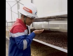 Kopi (K)Mojang