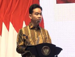 Wapres Gibran Ingin Tambah Insentif Kader Posyandu, Ini Alasannya