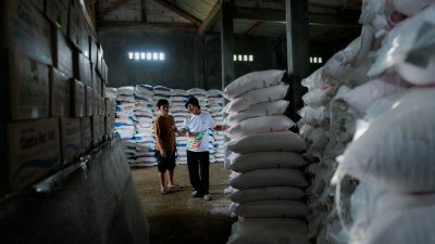 Petani di Jonggol “Happy” Harga Pupuk Turun 20 Persen: Apalagi Sekarang HET Padi Sudah Bagus