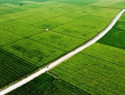 36 Hektare Lahan Pemakaman Milik Pemkab Bekasi Masuk LBS