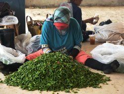 Harga Kebutuhan Pokok di Kabupaten Bekasi Meroket