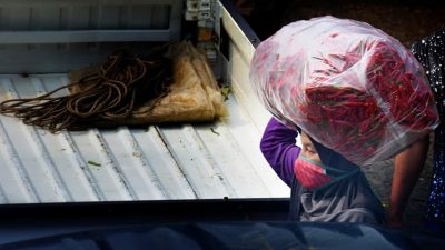 Jelang Nataru, Harga Cabai di Kabupaten Bekasi Bergejolak
