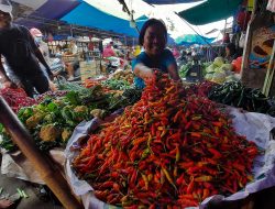 Harga Cabai Tembus Rp100 Ribu Per Kg, DKPPP Kota Bekasi Pantau Jalur Distribusi