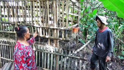 Tujuh Kambing Warga Setu Dicuri, Lima Disembelih Sisakan Jeroan