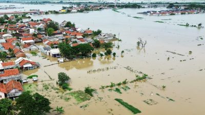 5.301,7 Hektare Sawah Terdampak Banjir di Kabupaten Bekasi Berisiko Gagal Panen