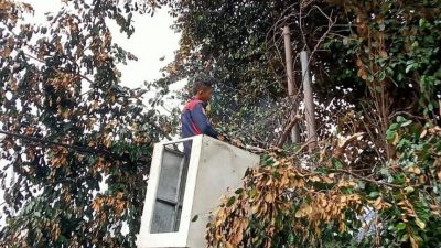 Demi Keamanan, Pohon Rawan Tumbang di Taman Jatiasih Dipangkas