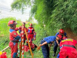 Petugas Disdamkarmat Kota Bekasi Selamatkan Dua Kambing Terperosok Sumur Tua Sedalam 20 Meter