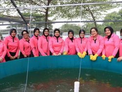 Bhayangkari Polda Metro Jaya Sulap Lahan Sempit di Kota Bekasi jadi Kebun Produktif