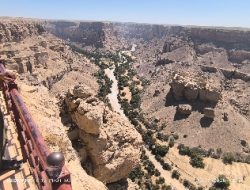 Tarim Tanah