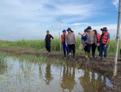 Kapolda dan Wakapolda Metro Jaya Tinjau Tambak Ikan di Muaragembong untuk Dukung Bahan Baku SPPG