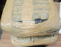 Polres Metro Bekasi Kota Ringkus Kurir Narkoba Antarkota, 2 Kg Ganja Disita
