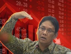 FDI Purbaya
