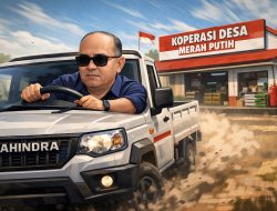 Petir Agrinas