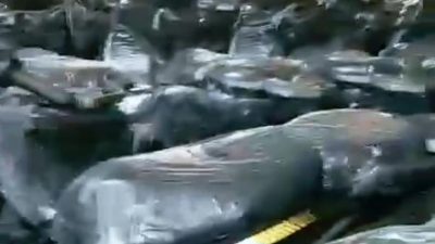 Viral! Deretan Motor Listrik Disebut “Jatah SPPG MBG”