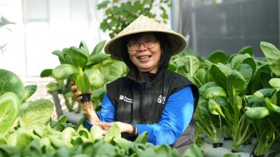 Perempuan Berdaya Lewat Program BRInita, Intip Kisah Inspiratif KWT Buaran Citra Lestari Manfaatkan Lahan Sempit untuk Tanaman Produktif