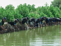 Peringati Hari Bumi, BRI Perkuat Komitmen Jaga Ekosistem Pesisir Lewat Penanaman Mangrove di Muara Gembong Bekasi