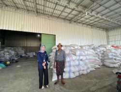 Kisah Inspiratif Mantri BRI di Lombok, Sosok Perempuan Berdaya yang Menggerakkan Ekonomi Masyarakat Sekitar