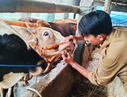 Hasil Pemeriksaan, 24 Ribu Hewan Kurban di Kota Bekasi Dipastikan Sehat