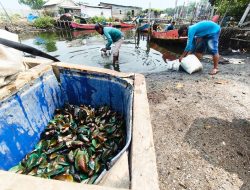 Usut Dugaan Pencemaran Laut, DPRD Kabupaten Bekasi Bakal Panggil DLH dan Perusahaan