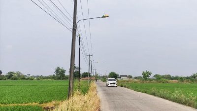Anggap Merusak Tanaman Padi, Petani di Cikarang Tutupi Lampu Jalan dengan Cat
